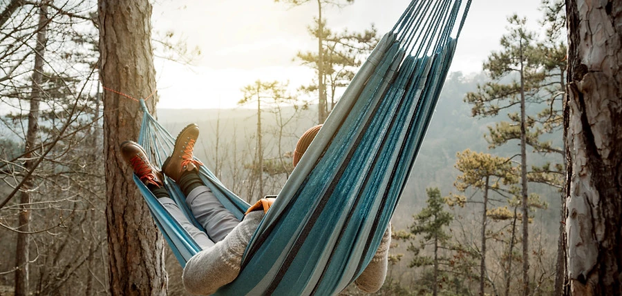 Hammock in Nature