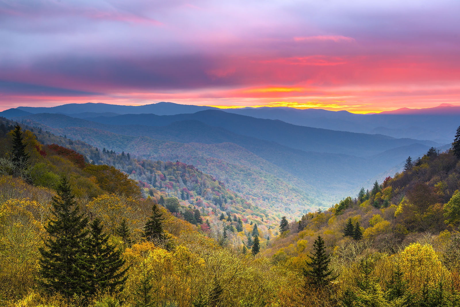 NETTA Mountains.jpeg